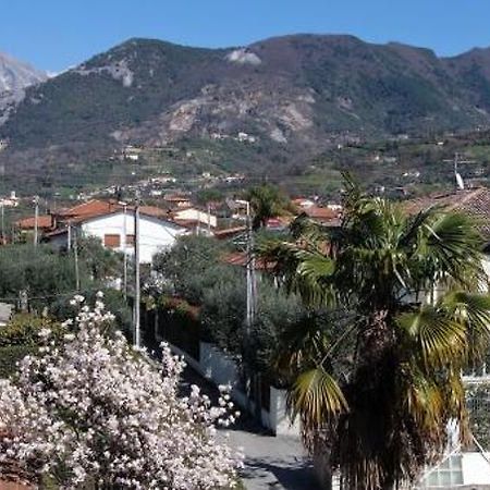 House Versilia Luca E Giada, 5 Chilometri Da Forte Dei Marmi! 外观 照片
